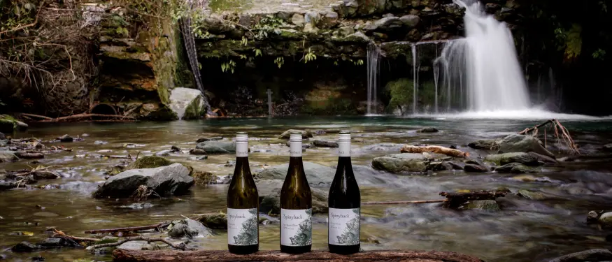 Spinyback Range Banner OurWinesv5